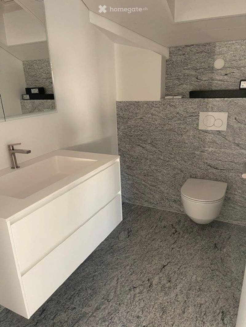 3.5 Attika Wohnung (3)