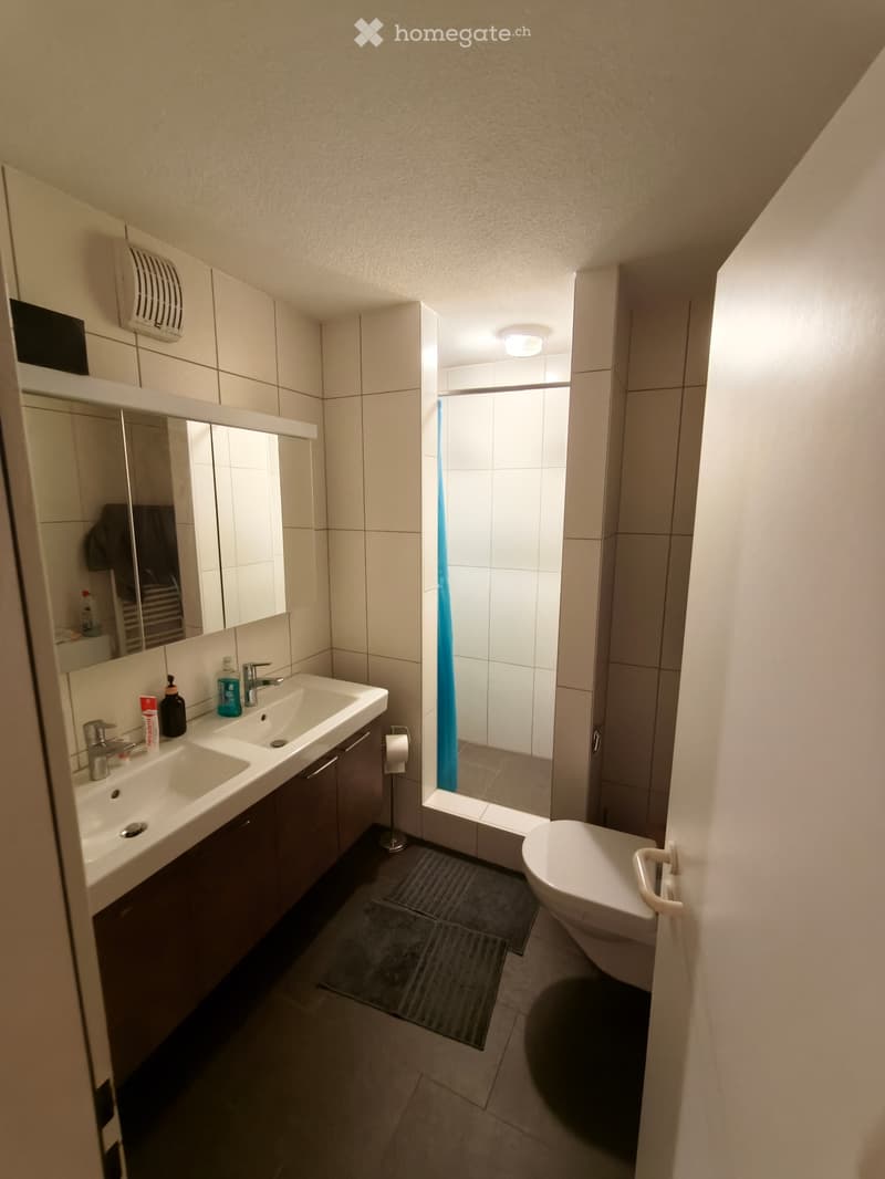 Luzern: Geräumige 3,5-Zimmer-Wohnung (4)