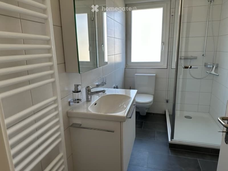 3 Zimmerwohnung, Zuchwil, 3. Stock, Wohn- und Geschäftshaus (1)