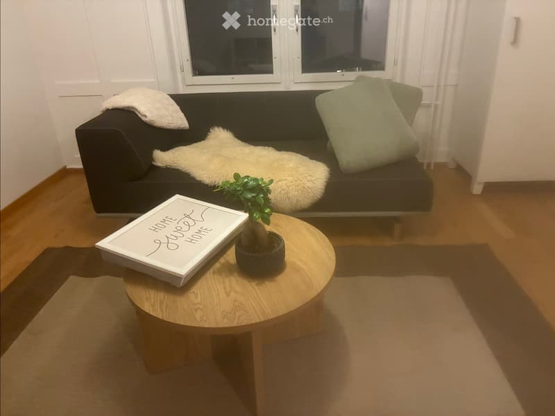 Suche eine Mitbewohnerin  für WG in St. Gallen (4)