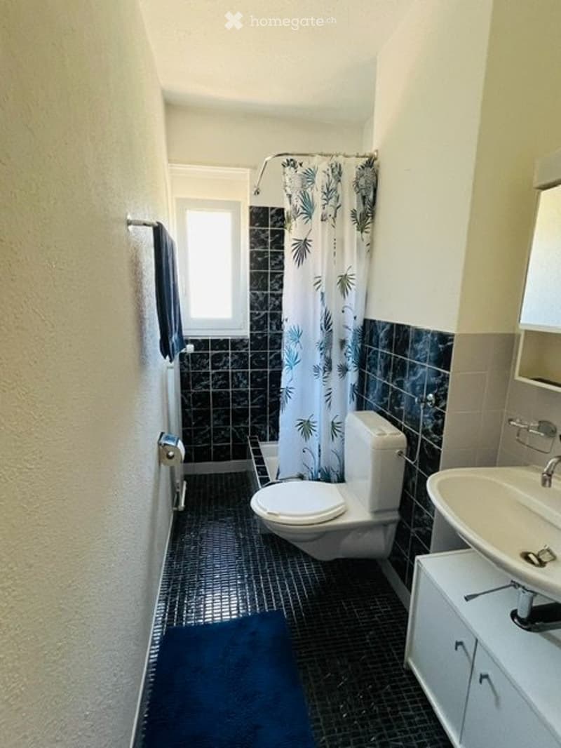 Möbilierte 1 Zimmer Wohnung (4)