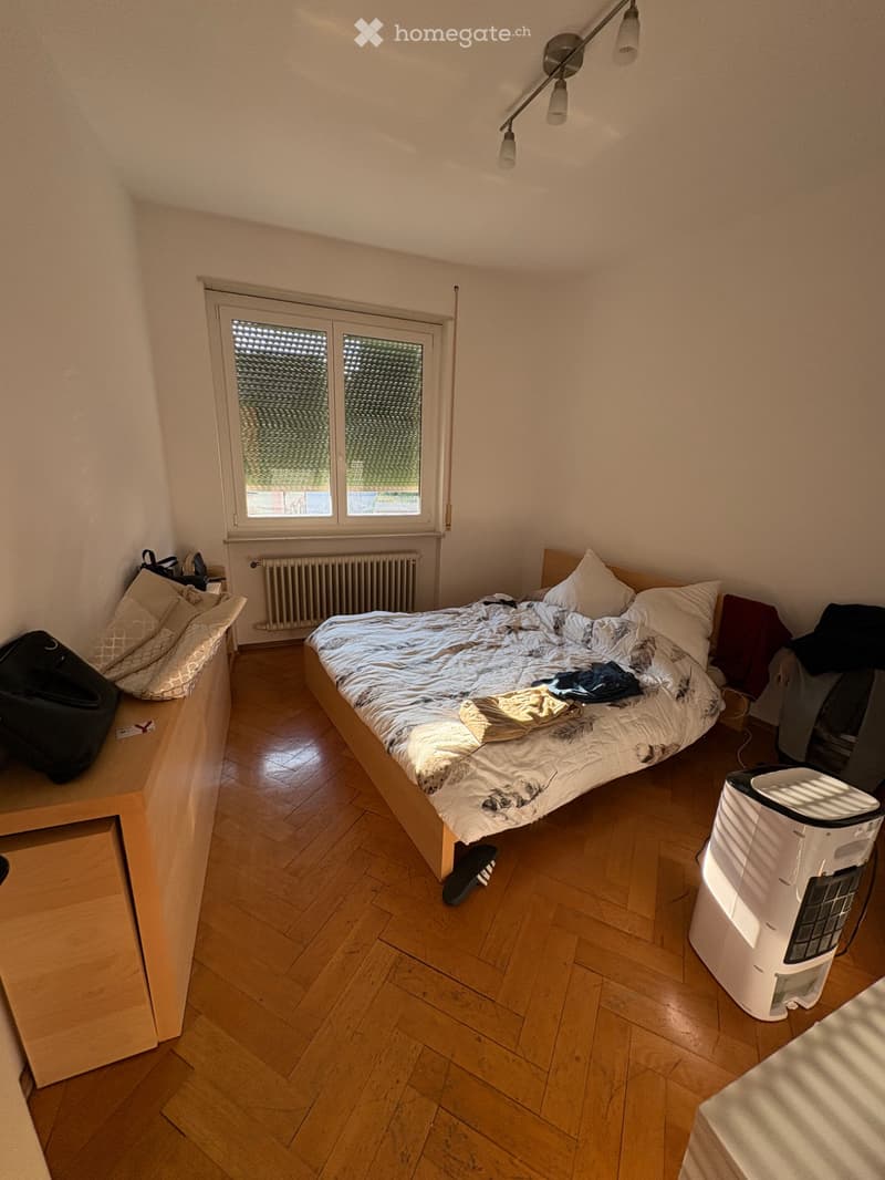 Cerco subentrante affito lugano (2)