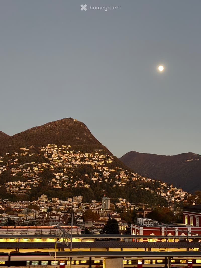 Cerco subentrante affito lugano (5)