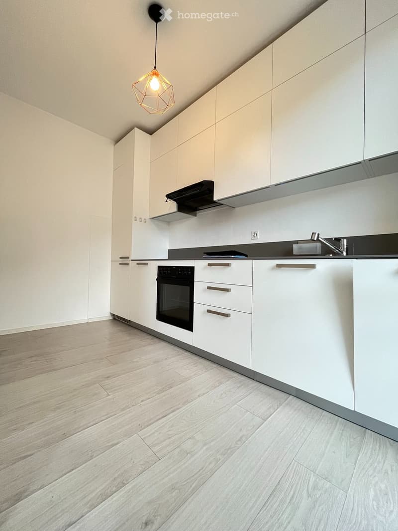 Affittasi appartamento 3.5 locali rinnovato a Sementina (2)