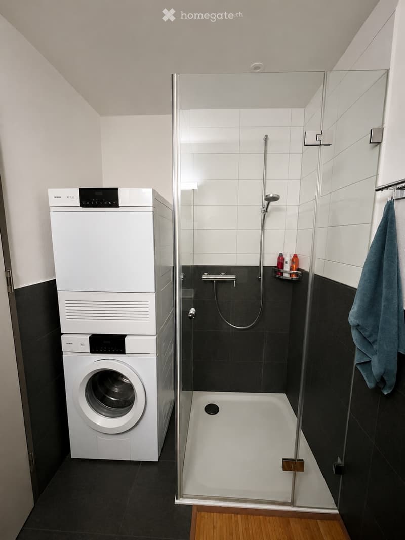 Möblierte Wohnung als WG-Zimmer (3)