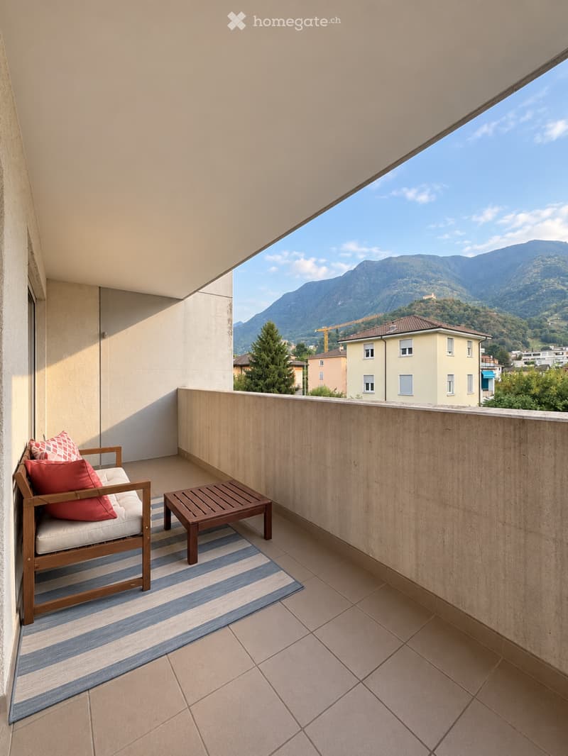Affittasi spazioso 3.5 locali rinnovato (2)