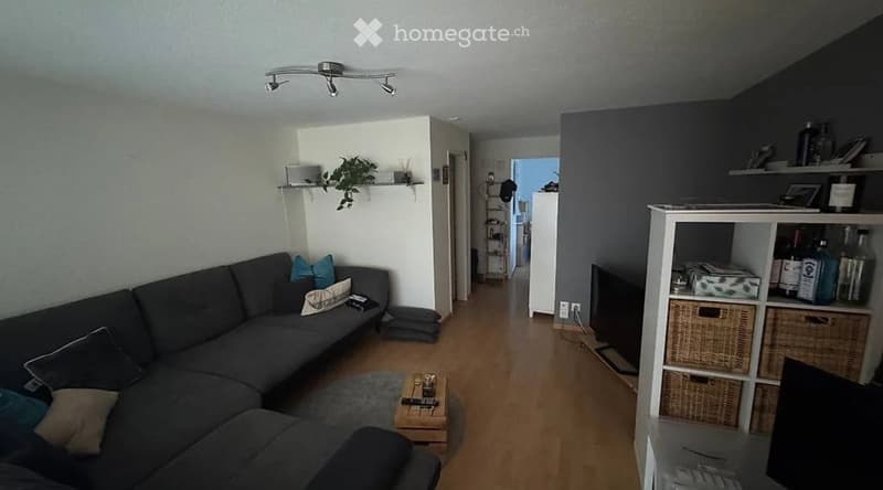 Nachmieter gesucht: 2.5 Zimmer Wohnung inkl. Garagenbox (1)