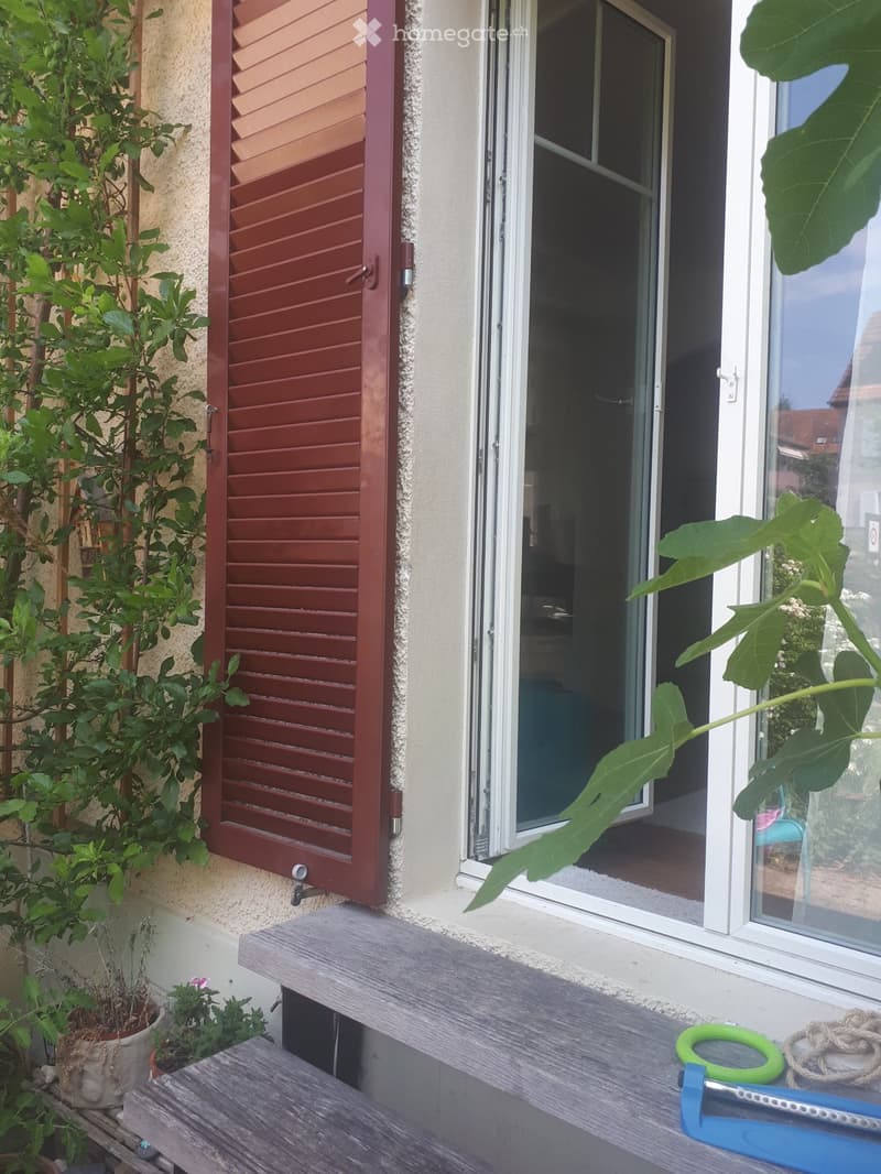 WG Zimmer mit Garten (1)