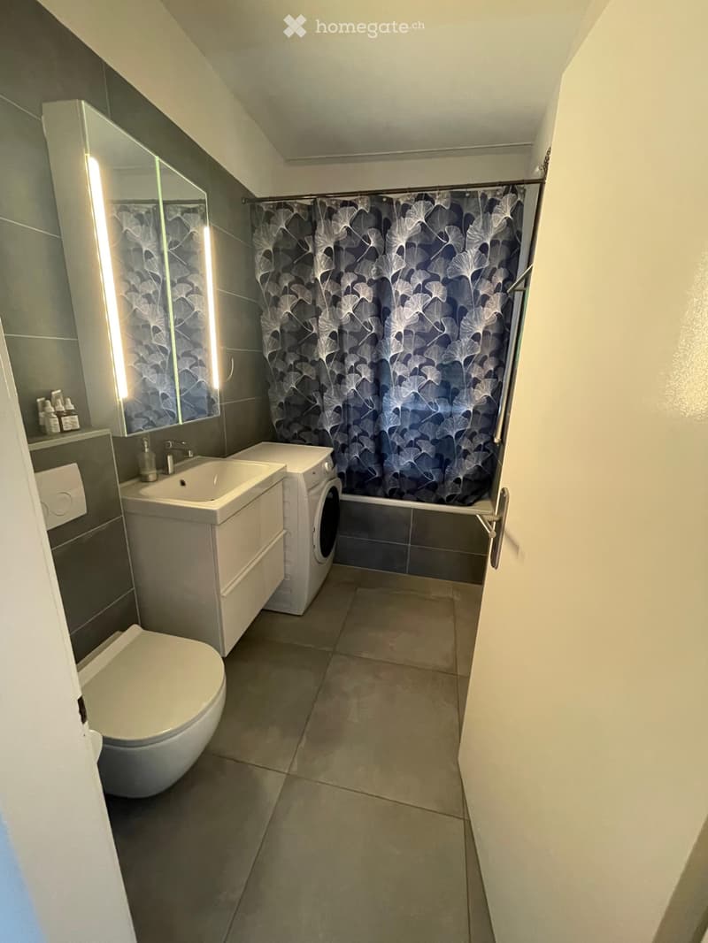 Appartamento 4.5 a Bellinzona 1850 tutto incluso (5)