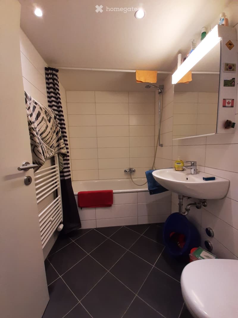 Ruhige und helle 3-Zi-Wohnung mit Balkon (Nachmieter) (4)
