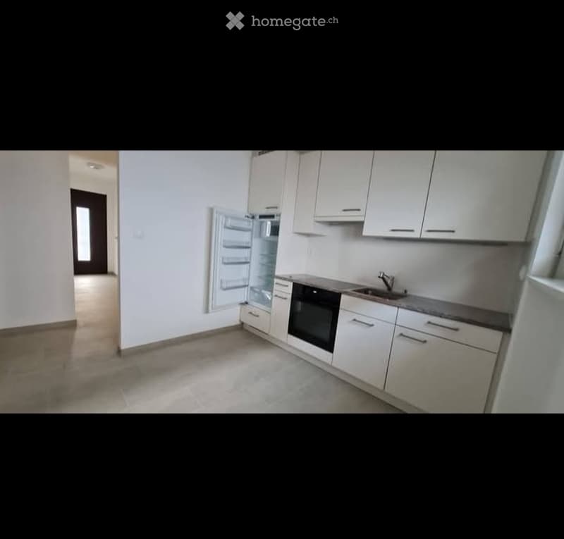 Faido (Chiggiogna)- affittasi appartamento 3 locali (5)