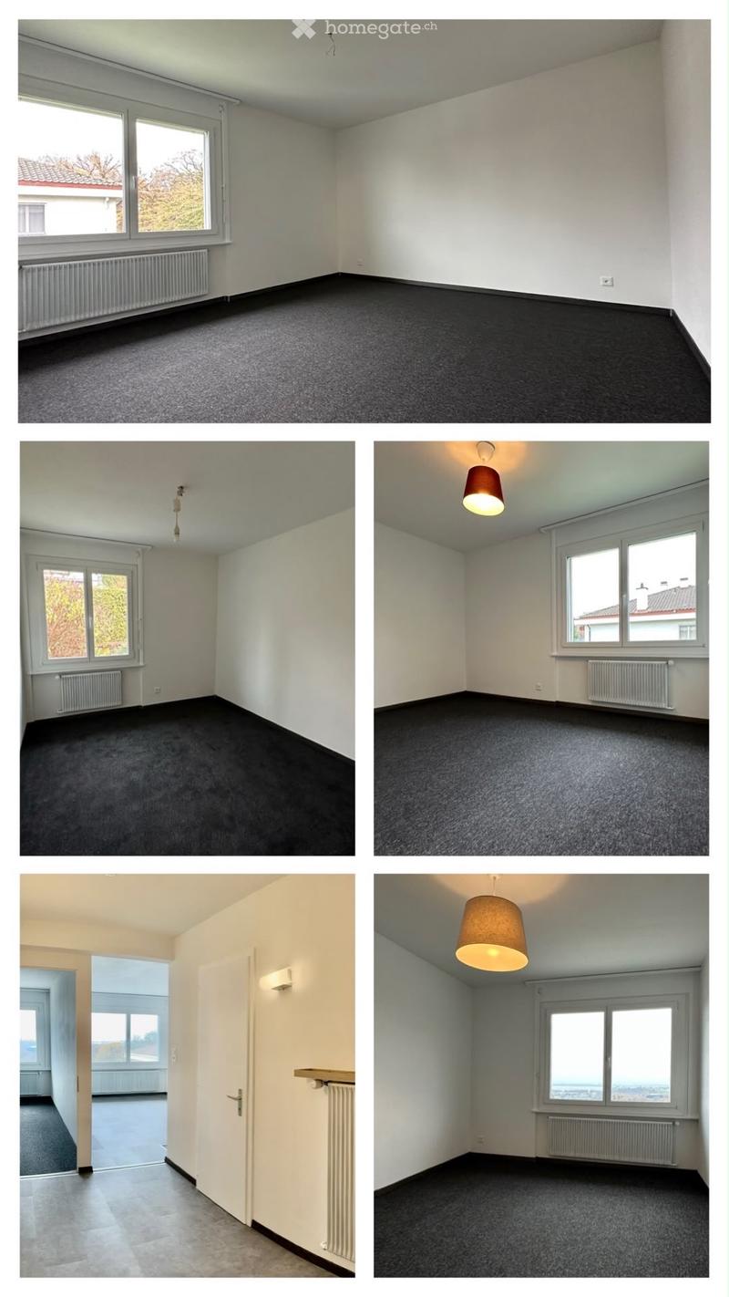 Spacieux 5.5 pc avec cheminée, piscine et vue sur lac (4)