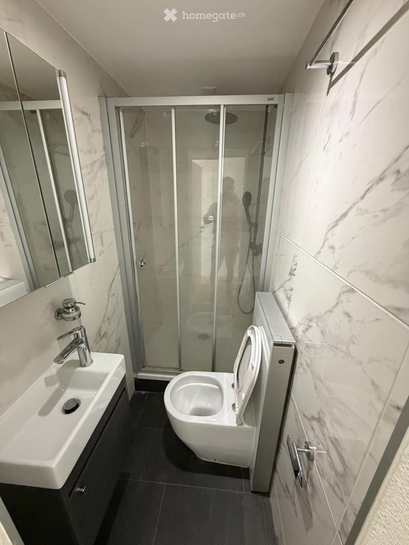 5 appartements à louer dans une maison entièrement rénovée (4)