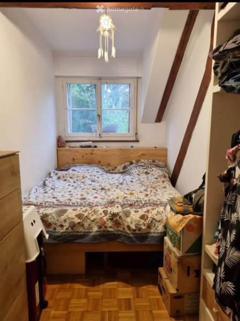 Magnifique, petit appartement, Genève (4)