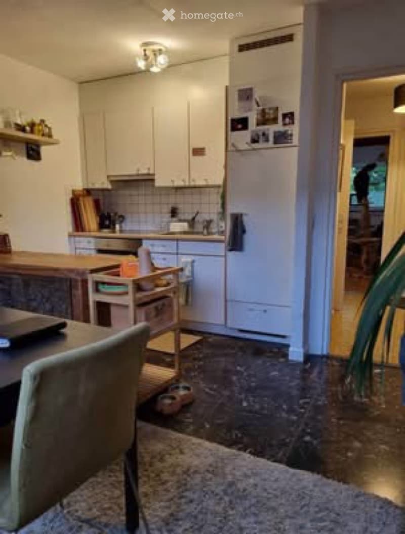 Magnifique, petit appartement, Genève (1)