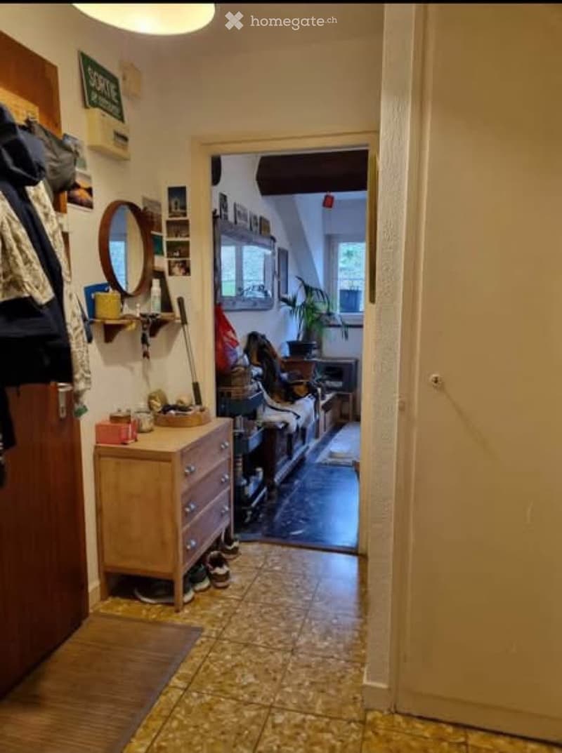 Magnifique, petit appartement, Genève (3)