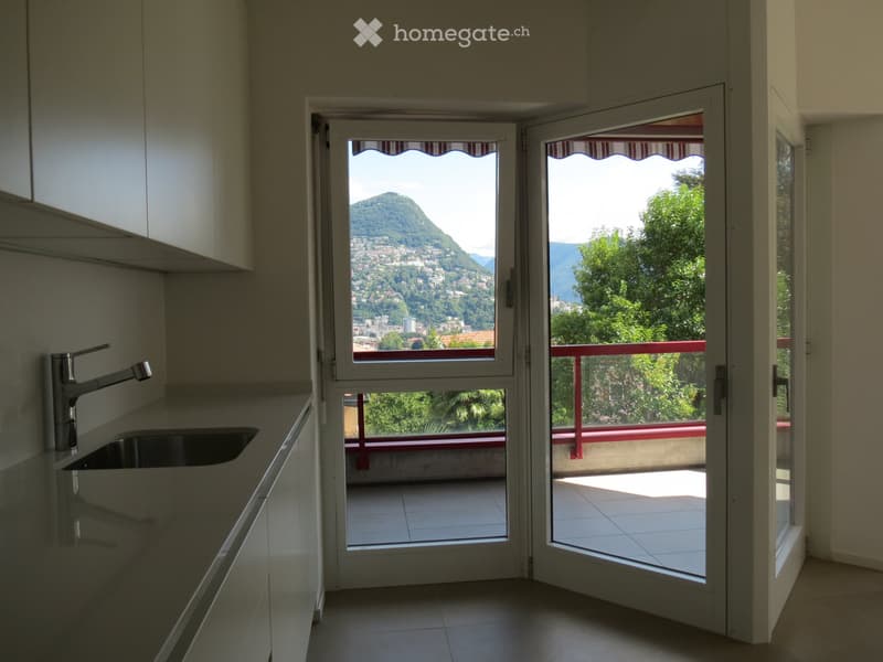 Lugano, 2.5 locali con bella vista a due passi dal centro (3)
