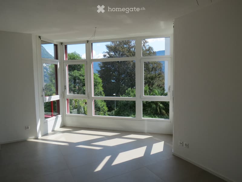 Lugano, 2.5 locali con bella vista a due passi dal centro (1)