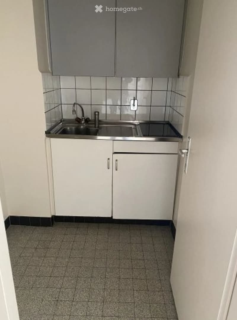 Magnifique studio à Genève (3)