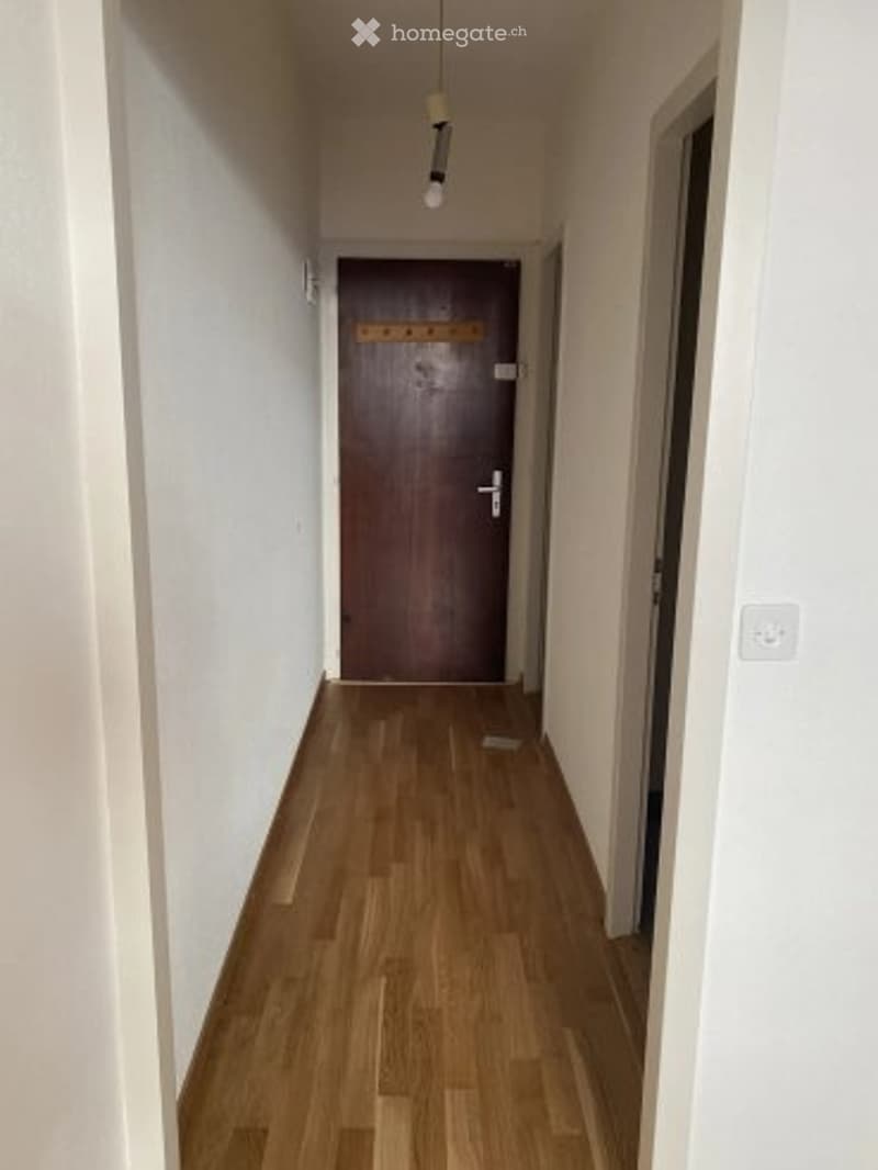 Magnifique studio à Genève (5)