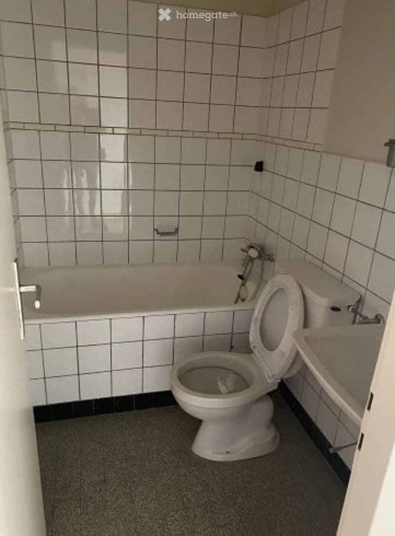 Magnifique studio à Genève (4)