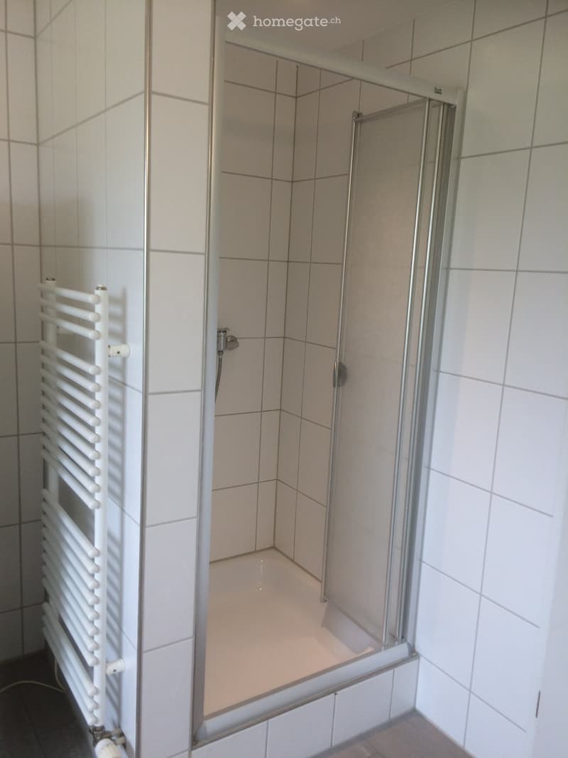 Vermietung Zimmer möbeliert (3)