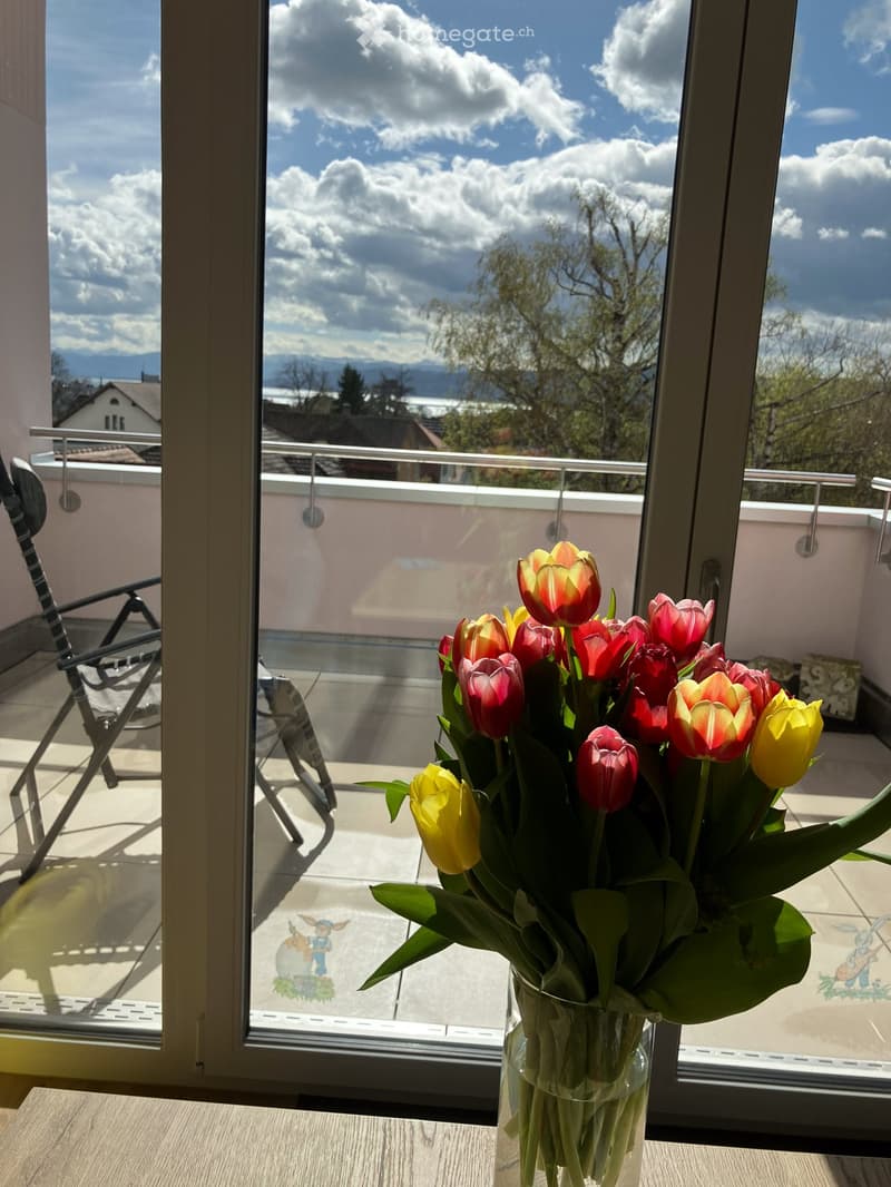 Nachmieter für Wohnung mit Berg- & See-Sicht gesucht (1)