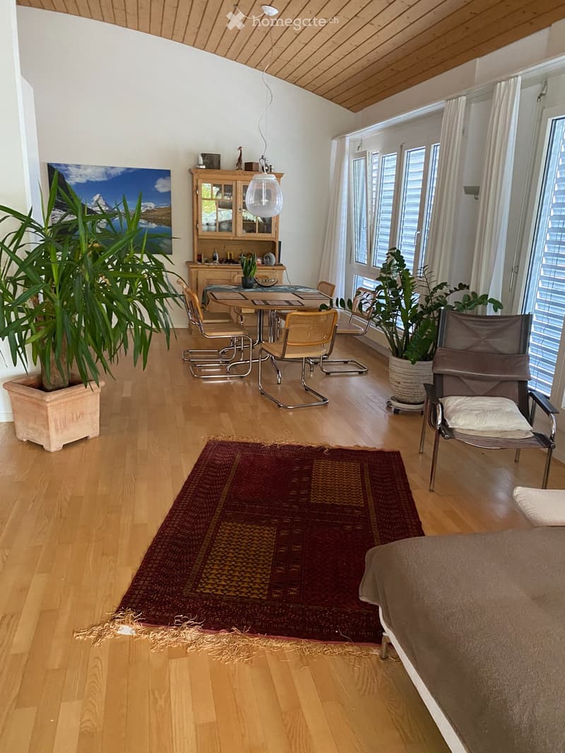 Zimmer in einer grossen Wohnung, kein Studio (2)
