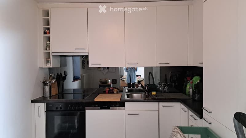 Appartamento 3.5 locali (4)