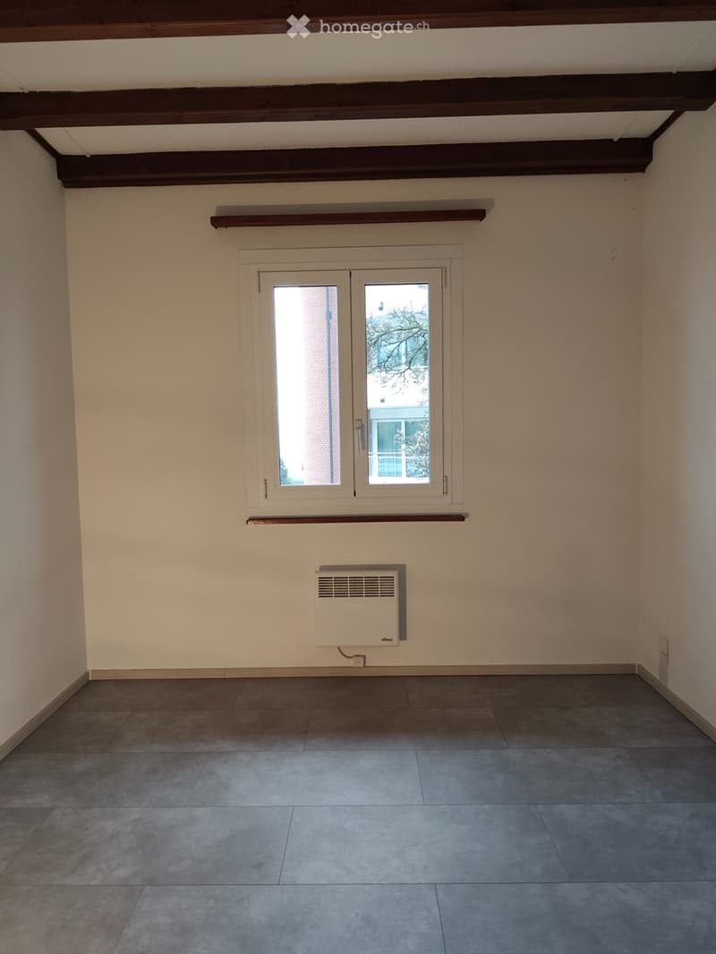 Affitto a S.Nazzaro / Gambarogno , appartamento 4.5 locali (1)