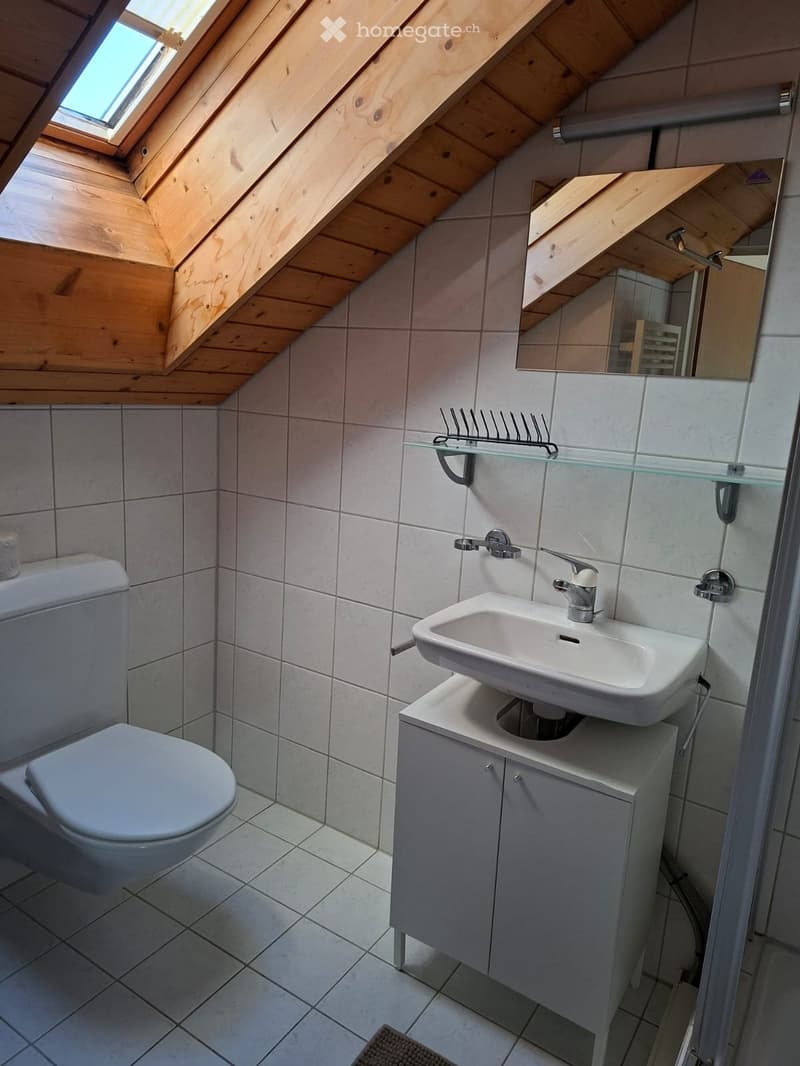 Möbiliertes Studio (5)