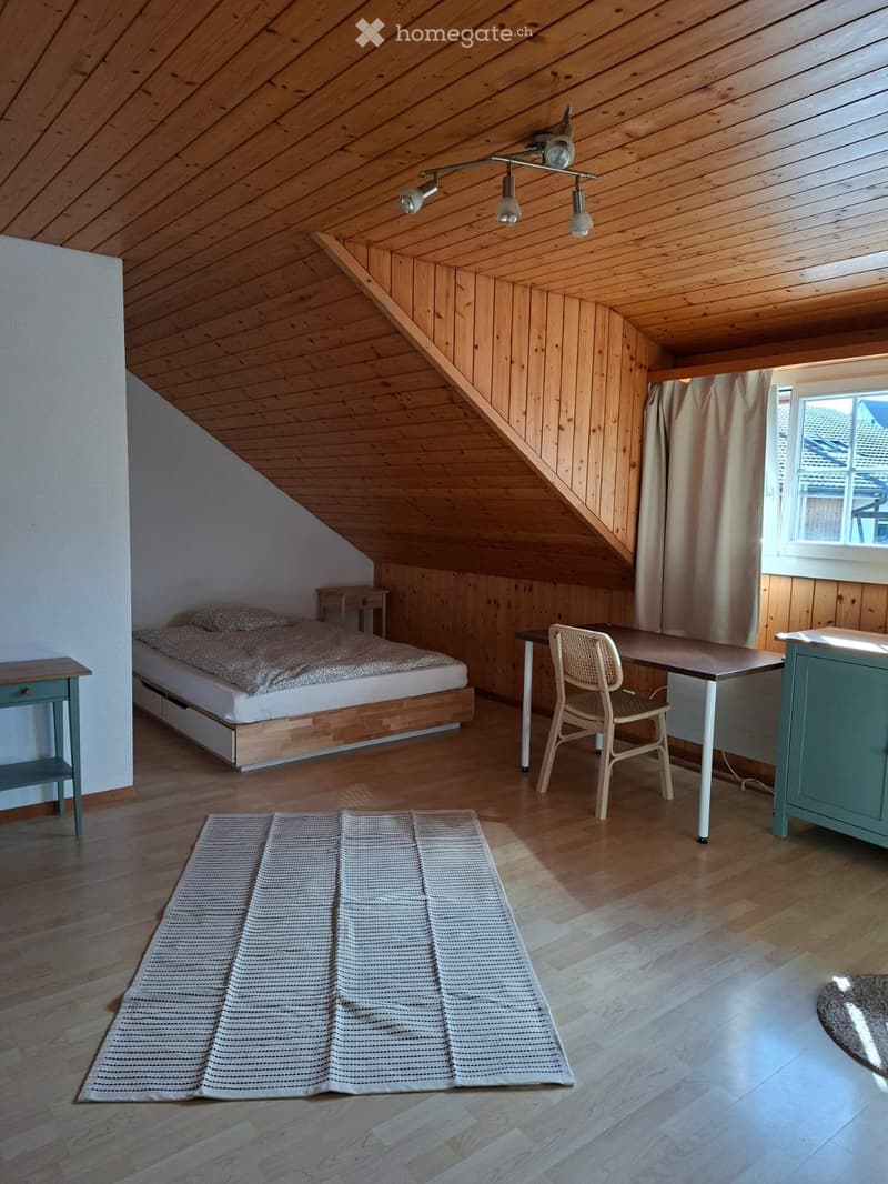 Möbiliertes Studio (2)