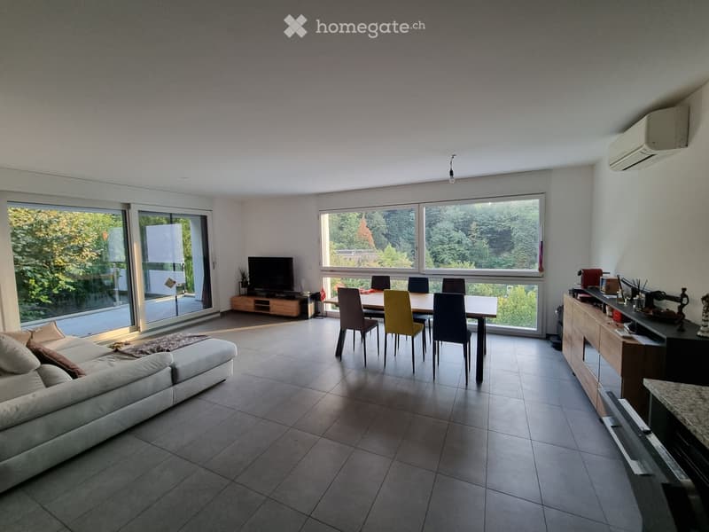 Appartamento 3.5 locali a Pregassona alta (1)