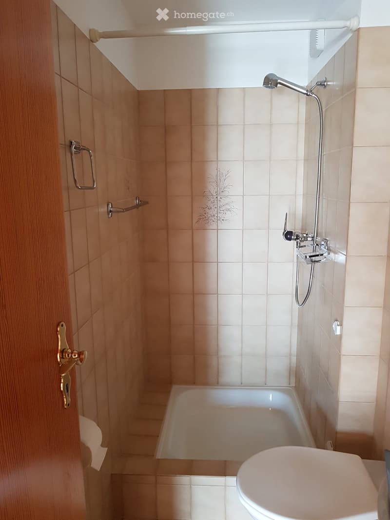 schöne, sonnige 4.5-Zimmerwohnung (5)