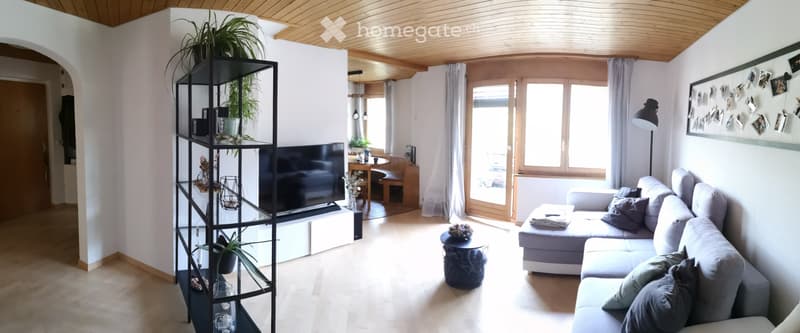 schöne, sonnige 4.5-Zimmerwohnung (3)