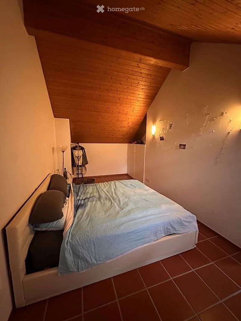 Cercasi subentrante Locarno (3)