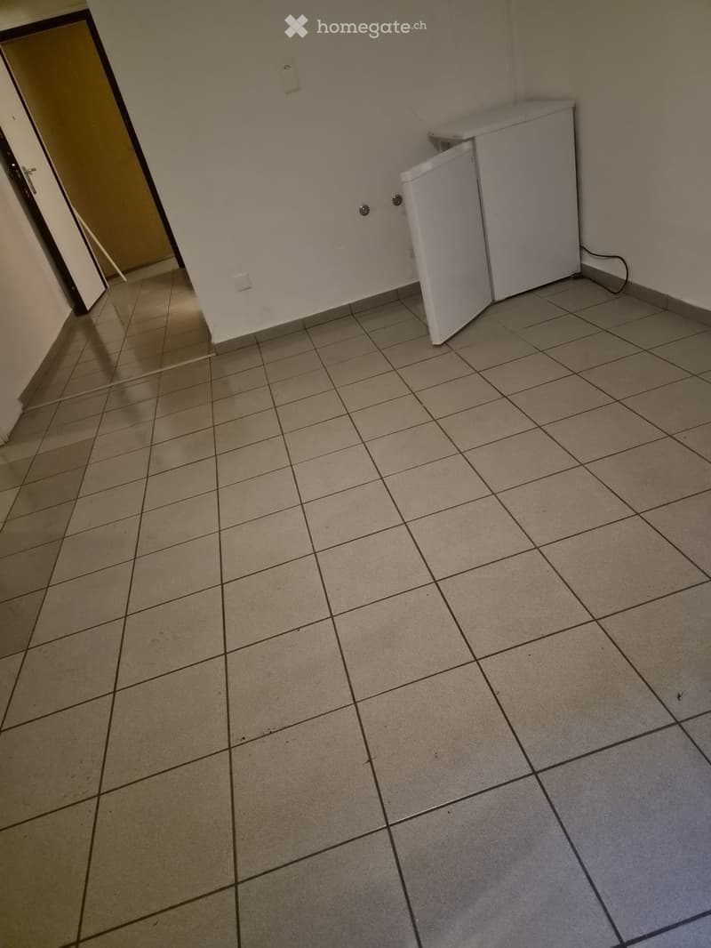 affitto 2 locali, porta blindata (4)