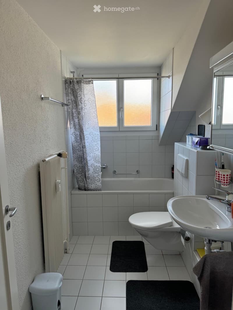 2 Zimmer-Dachwohnung (4)