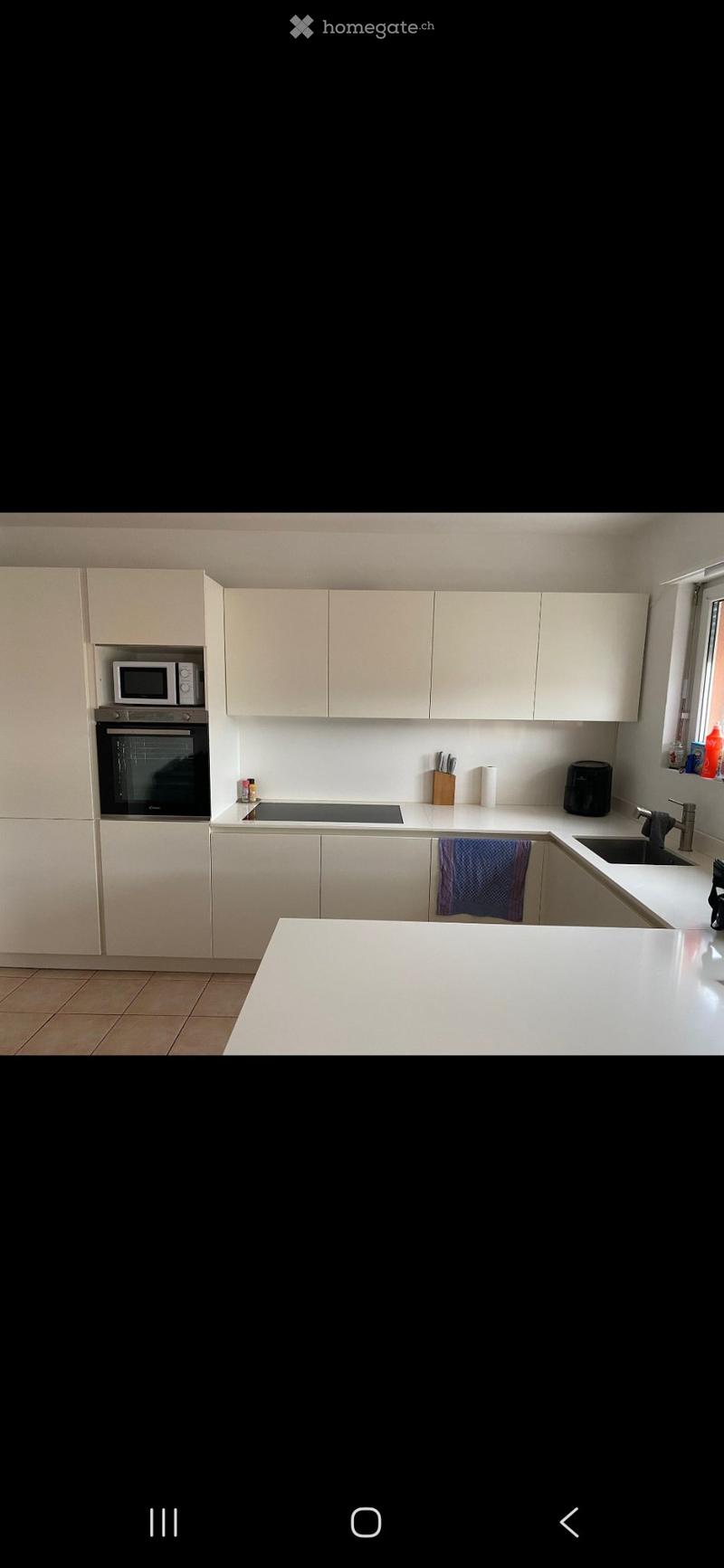 Affitasi appartamento Agno 3.5 (3)
