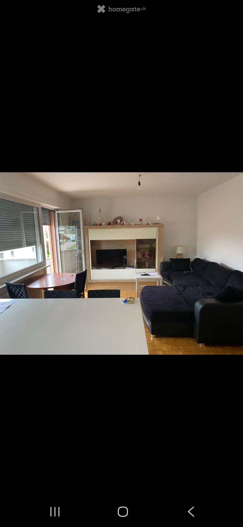 Affitasi appartamento Agno 3.5 (1)