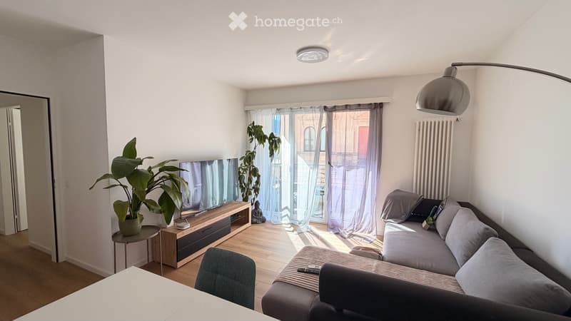 RICERCA SUBENTRANTE  SPLENDIDO APPARTAMENTO A LOCARNO (2)