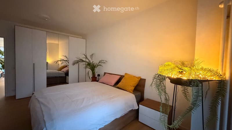 RICERCA SUBENTRANTE  SPLENDIDO APPARTAMENTO A LOCARNO (3)