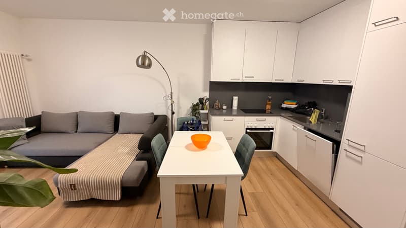 RICERCA SUBENTRANTE  SPLENDIDO APPARTAMENTO A LOCARNO (4)