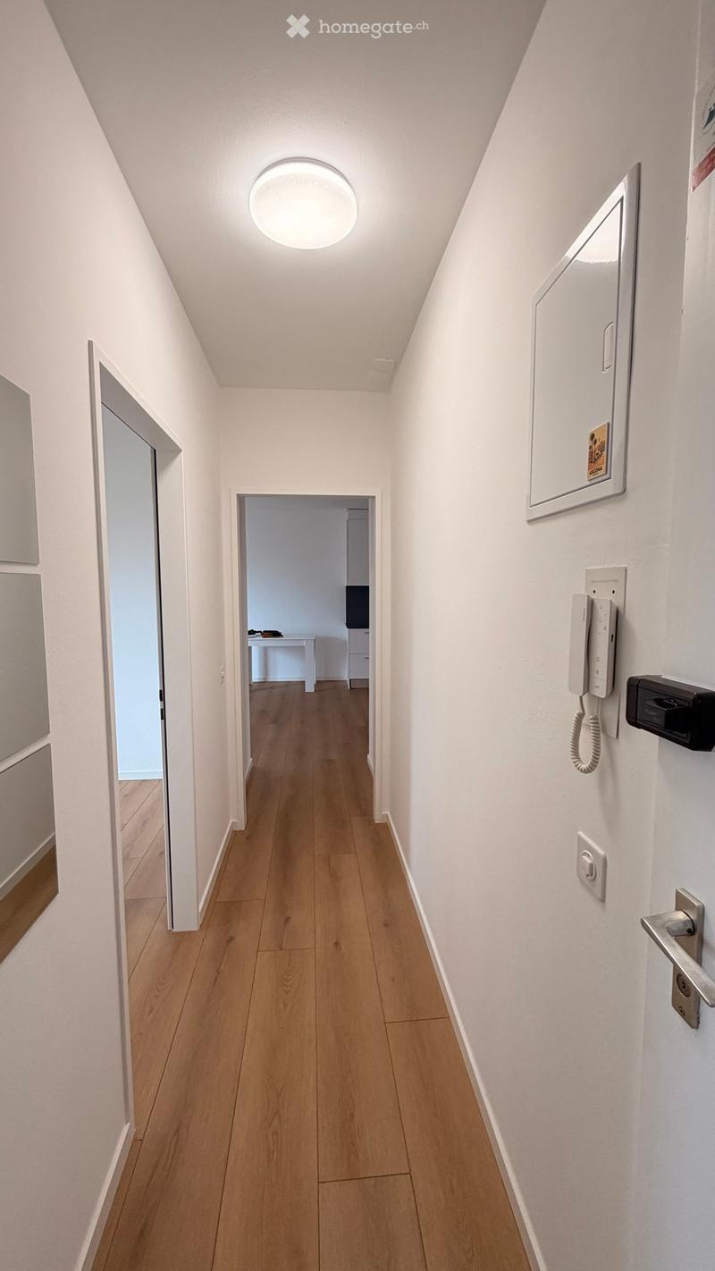 RICERCA SUBENTRANTE  SPLENDIDO APPARTAMENTO A LOCARNO (5)