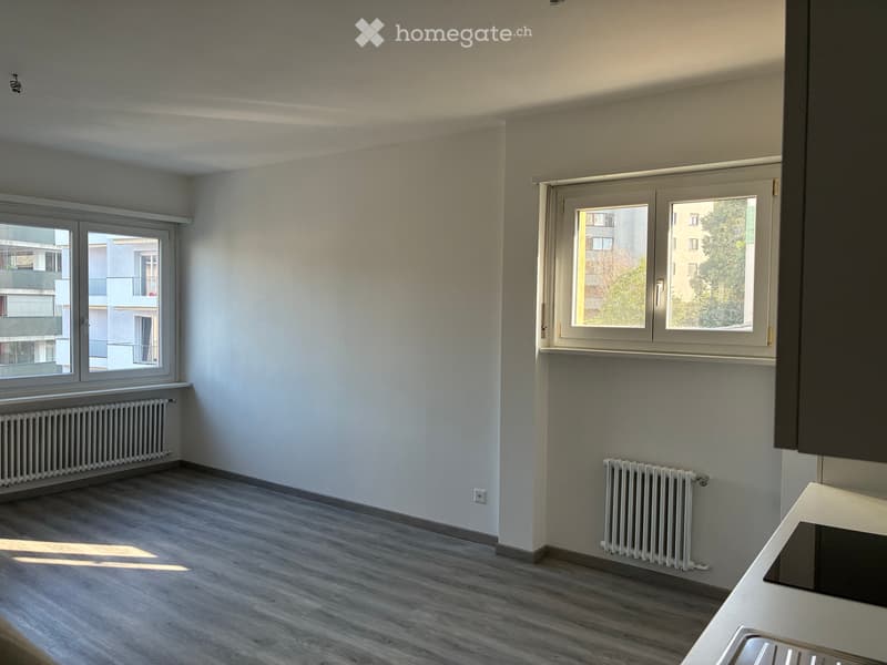 Appartamento 3.5 appena ristrutturato (2)