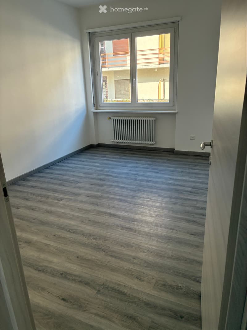 Appartamento 3.5 appena ristrutturato (4)