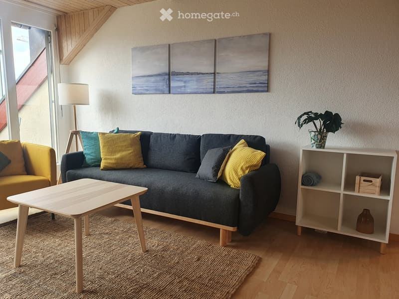 Sehr schöne, vollmöbilierte 3,5 Zimmer Wohnung (2)