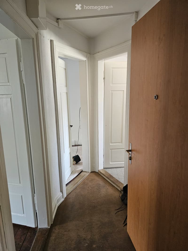 2-Room Apartment in Altstetten (3)