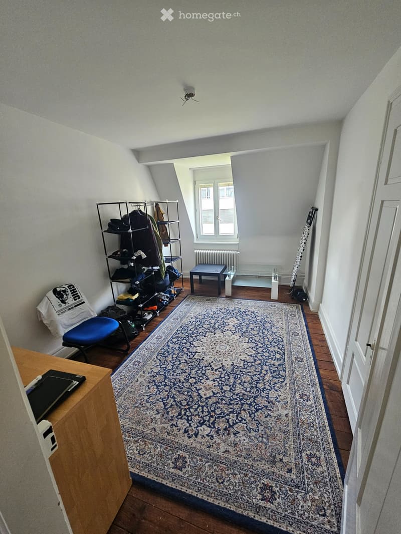 2-Room Apartment in Altstetten (4)
