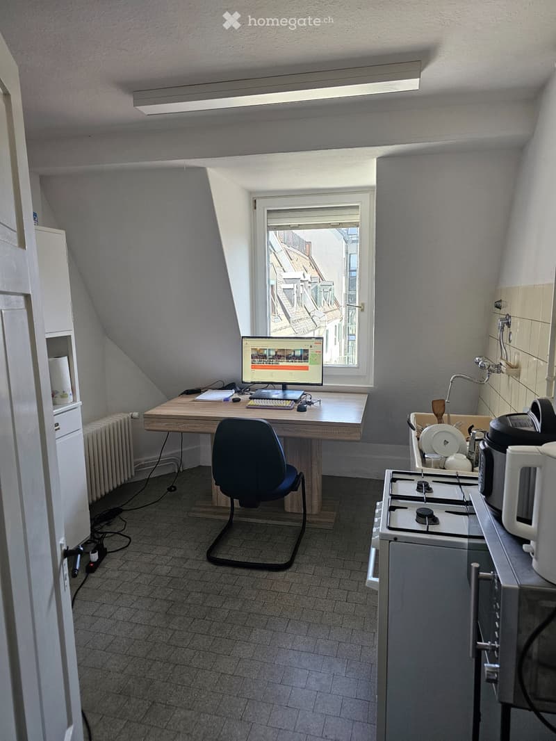 2-Room Apartment in Altstetten (2)